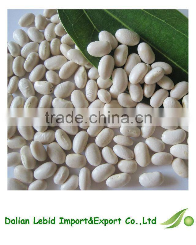 Export Broad White Kidney Dry Beans For Sale 2016 Crop