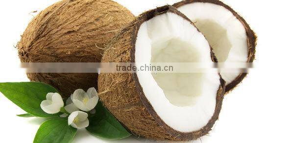 Fresh coconuts from India