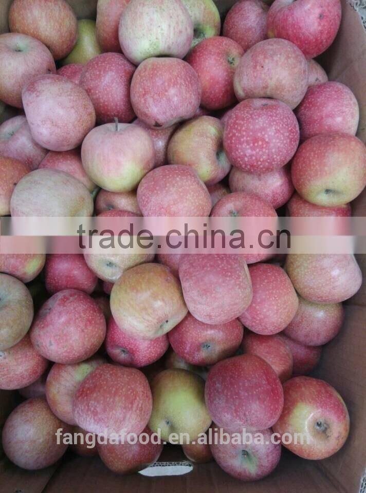 Moutain high red colour qinguan apple