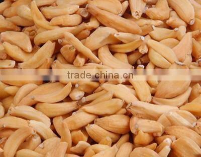 Best Quality Dehydrated Garlic Flakes Exporters from India