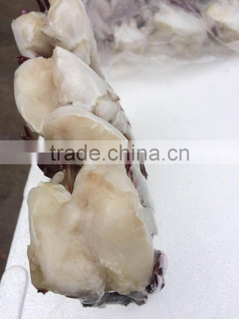Frozen Blue Swimming Crab for hot sale