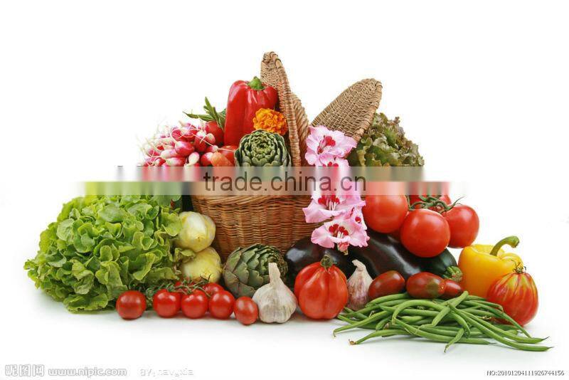 vegetable processing machine