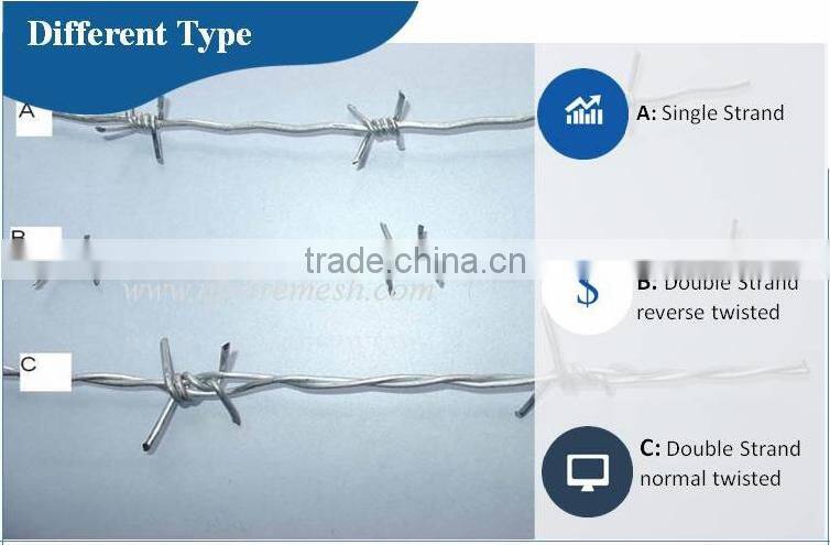 High Quality Used In Singapore Hot Dipped Galvanized Barbed Wire/PVC Coated Barbed Wire(Guangzhou Factory)