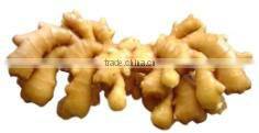 Fast Speed Garlic Grinding Machine Ginger Smasher (whatsapp:0086 15039114052)
