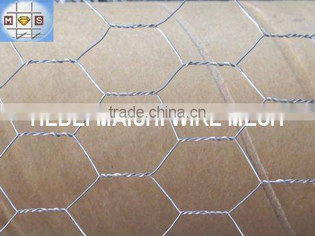2-1/2" hot dipped galvanized hexagonal wire netting 2-1/2 inch 40mm*40mm