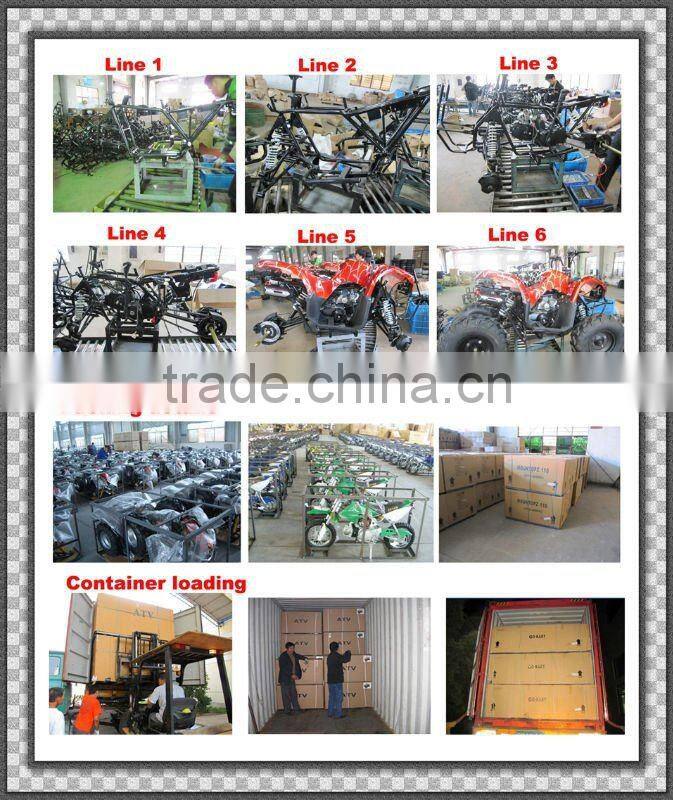 196CC 6.5HP RACING GO KART(MC-473A)