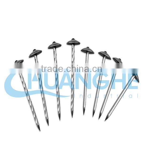 stainless steel roofing nails