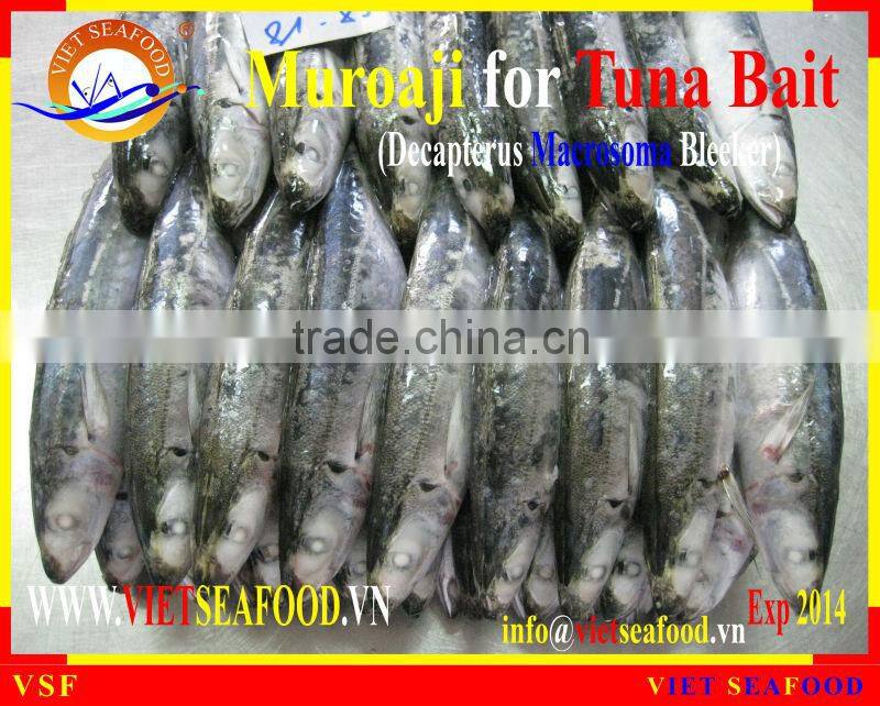 MUROAJI FOR TUNA BAIT