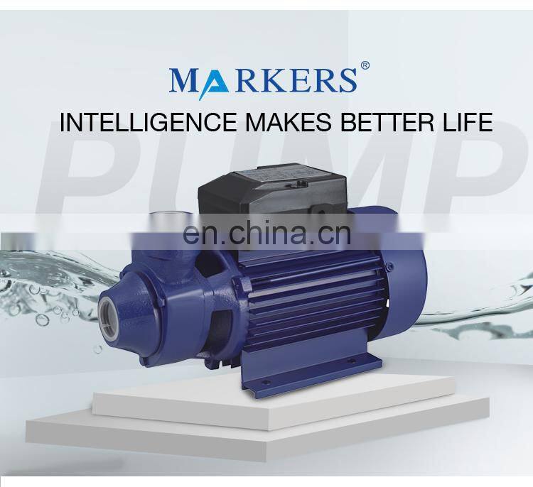 China bomba de agua de larga distancia qb60 qb80 water pump