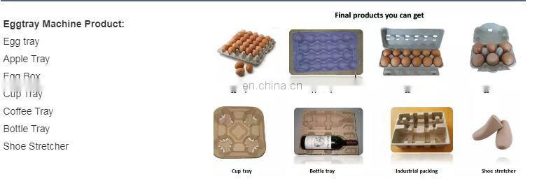2020 hot sale Fully Automatic factory price egg tray making machine for egg tray and egg crate production line