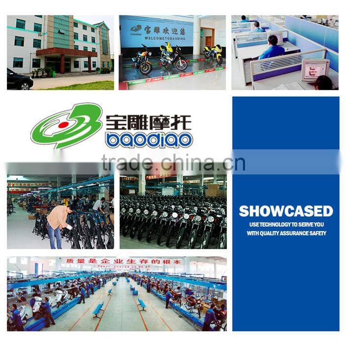 Baodiao High Quality Cheap 2000W Electric Bicycle Ebike Electric Scooter Wholesale China Manufacture Directly Supply EEC EPA DOT