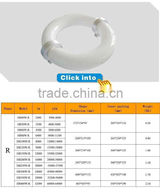 induction high bay light