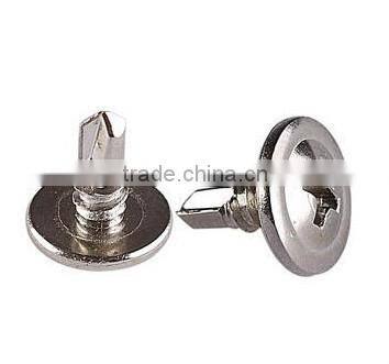 wafer head needle point screw BZP