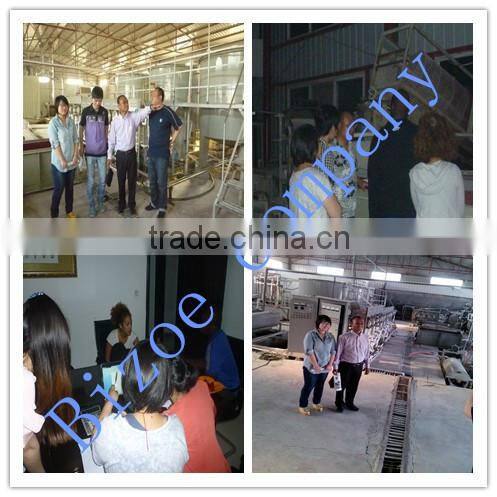 Stainless steel equipment potato sorting machine