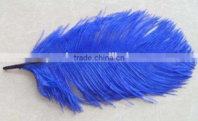 Real Natural Ostrich Feathers for canival, festival decorative feathers wholesale