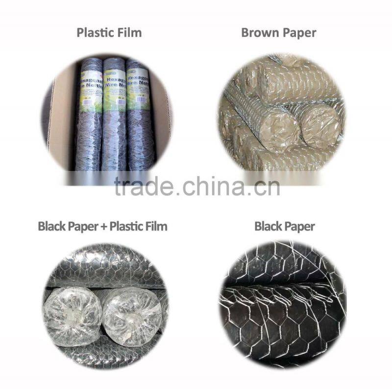 Hex netting 20 gauge 1" and 2" mesh GBW Galvanized Before