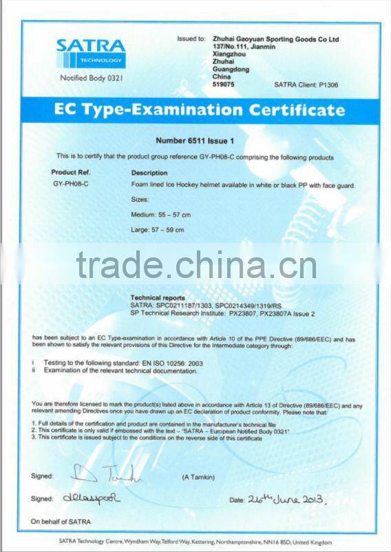 2016 hot sales ABS ice hockey helmel