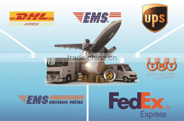 camera/car gps sd cards with Blister package by paypal OEM Brand LOGO sd flash card big size type 16GB Class6