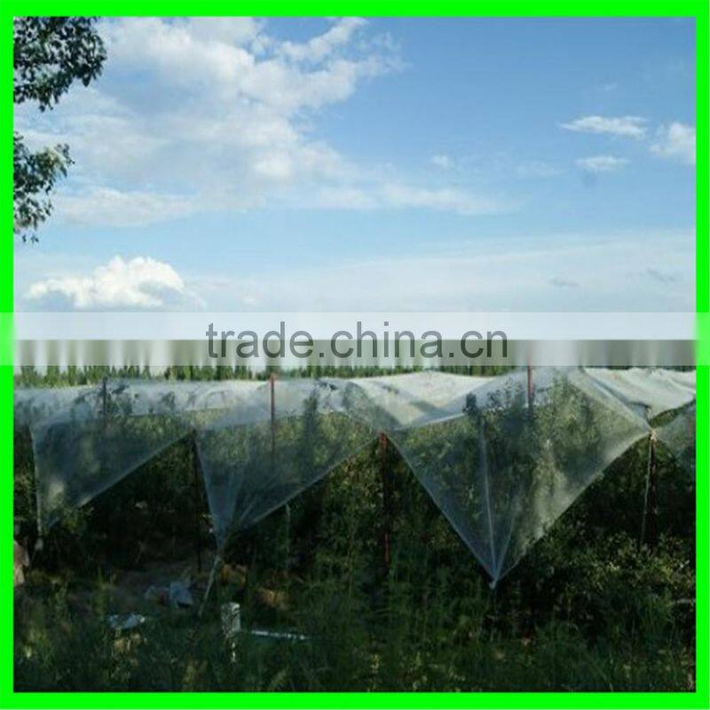 Anti hail mesh / Agriculture anti hail net / hail protection net for trees