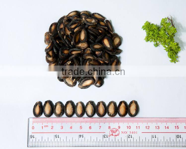 hot sale watermelon seed oil in bulk