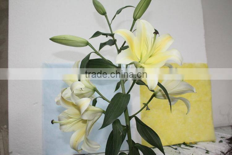 Alibaba china fresh cut flower lily promotional lili and rose flower