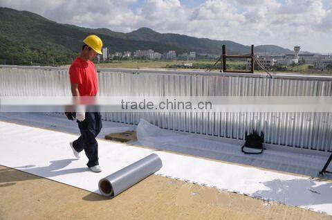 Roof PVC waterstop membrane foil