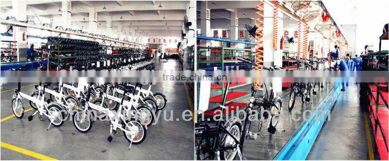 mountain bike electric folding bike XY-EB005F