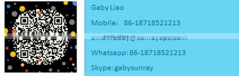 24V 36V 48V off grid solar inverter charge controller 30A 60A