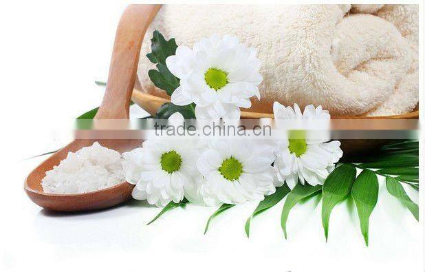 Oval type and sponge material Massage Konjac sponge