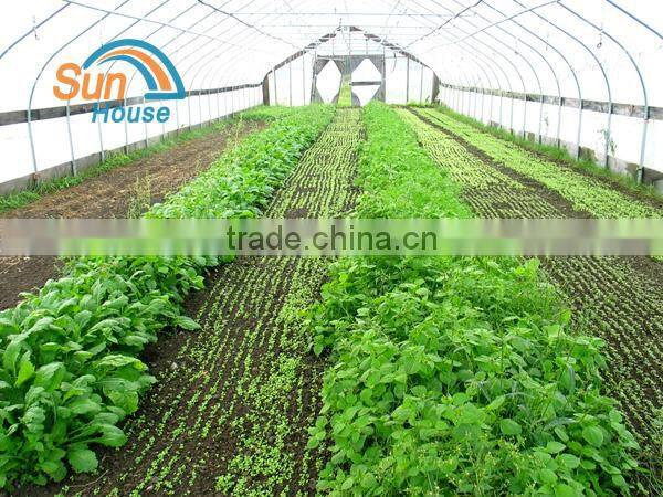 Green House Plastic Sheet