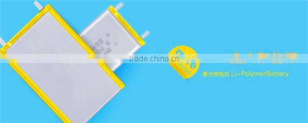 3.7v 800mah li-ion battery, li ion polymer battery 3.7v 2800mah Cobalt acid lithium batteries, Lead acid lithium battery