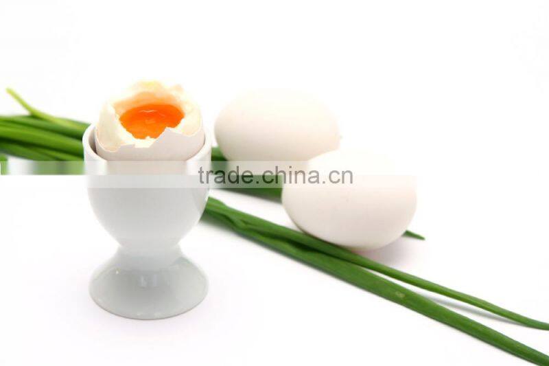 Best sale egg cooker