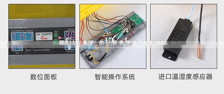 Small little turtle incubator / automatic egg incubator