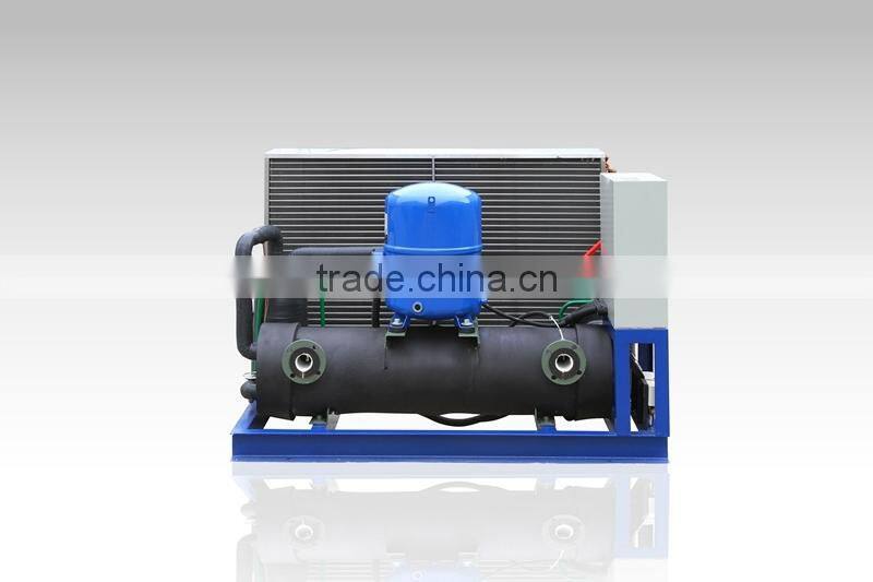 Small Capacity Block Ice Machine 1ton/day