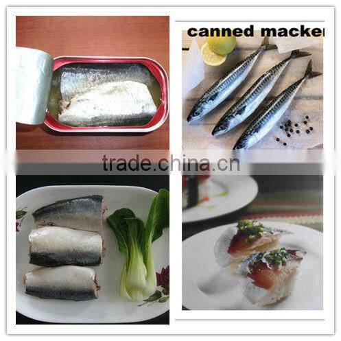 Canned Mackerel Fish in Tomato Sauce