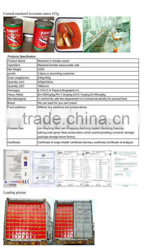 norway mackerel fish in tomato sauce