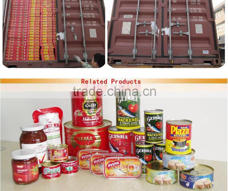 High Quality tomato paste production 210gx48tins