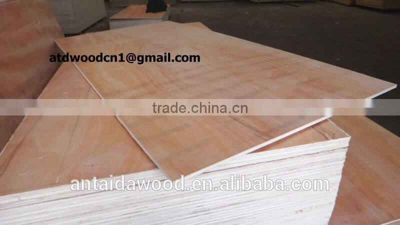 Linyi lower price packing plywood