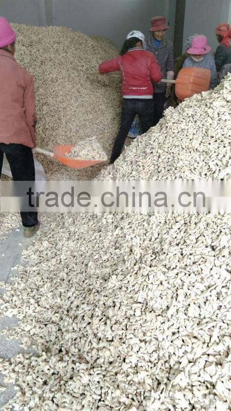 Wholesale Grade A Dried Ginger in China