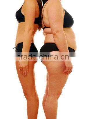 waterproof Material massage machine for sale