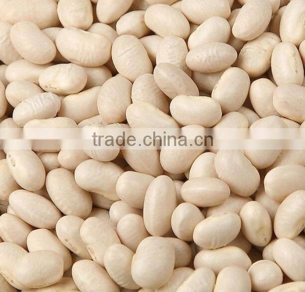 Wholesale Sunflower Seeds