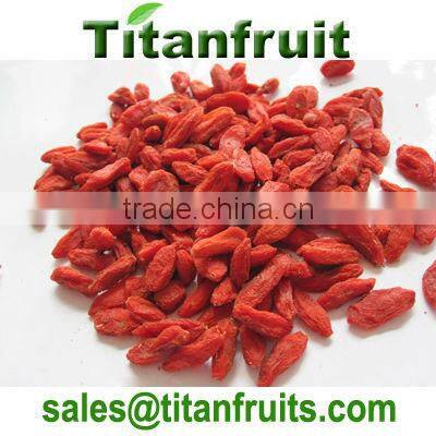 dried zhongning goji berry ,chinese best red goji berry 2013 crop