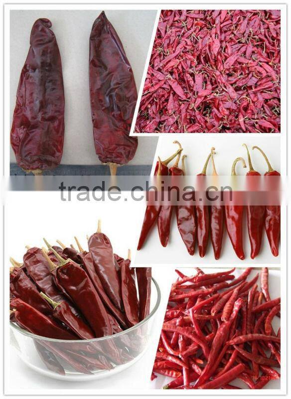AD Dried Red chilli HACCP/ GAP/FDA/HALAL