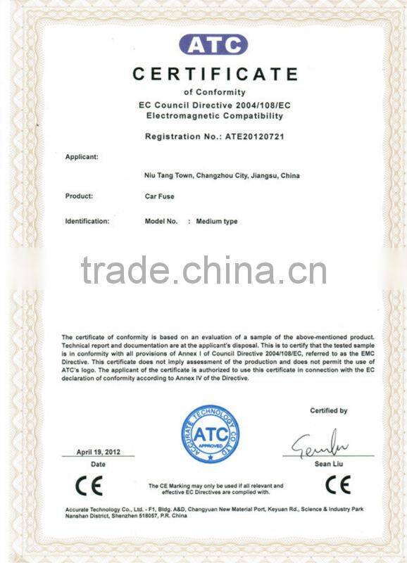 TC 120pc Assorted Auto Glass Fuse Kit