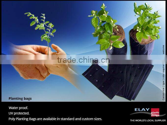 Planting tray