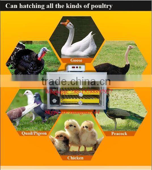 Own factory to produce a new type of low price quail egg incubator