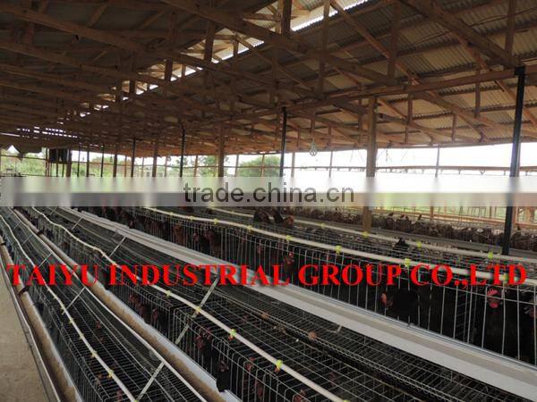 TAIYU Chicken Cages for Kenya Hen Farm (Local agent, whole year stock, visit customers every year)