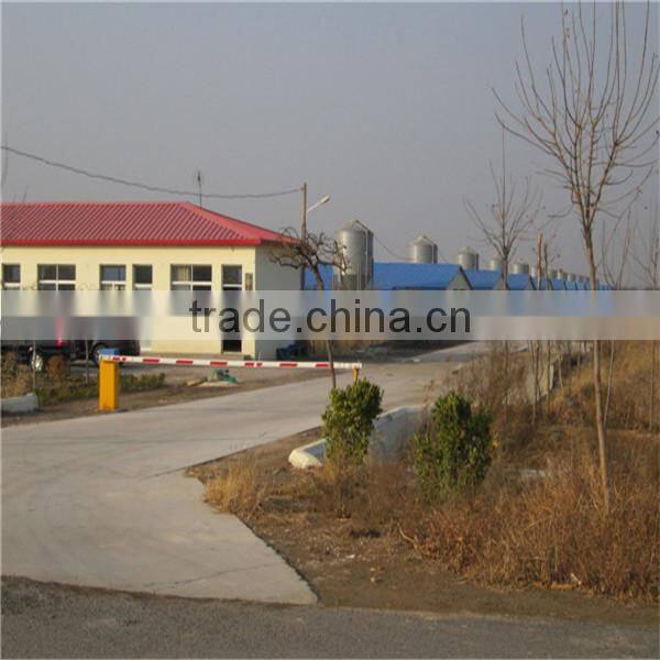 Automatic poultry farm equipment for chicken broiler