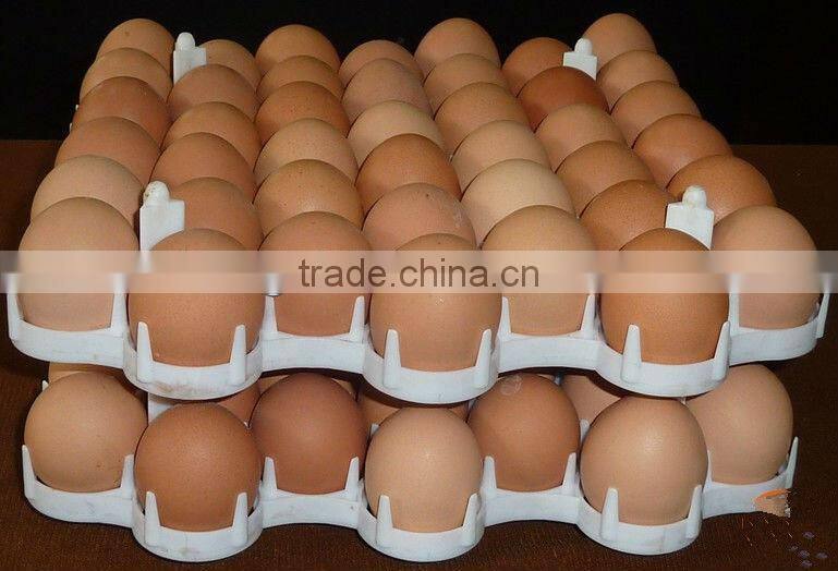 Bangchi 42-cell Plastic Chicken Egg Tray /box/carton for automatic hatching machinery