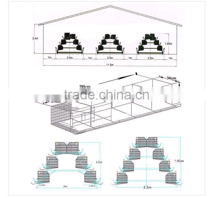 30 Years' factory supply automatic chicken broiler cages